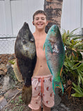 PFI Reef Spearfishing
